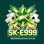 SK M999