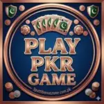 PlayPAK game